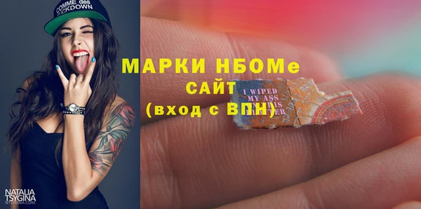 сатива Краснослободск