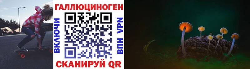 закладка  Инсар  hydra зеркало  Галлюциногенные грибы Cubensis 
